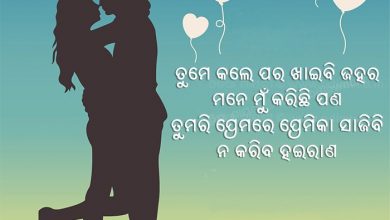 Odia Dhoka Shayari Archives Odiaweb Odia Film Music Songs