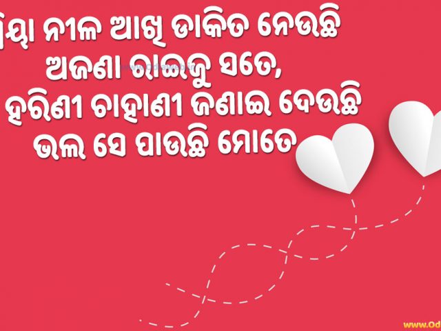 Top 2 New Odia Shayari And Best Odia Love Shayari Collection Odiaweb