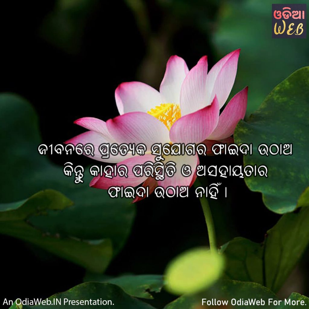 Odia Life Quotes2